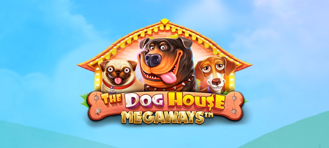 The Dog House Hboplay99